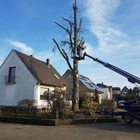 Garten- und Landschaftsbau 7
