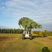 Garten- und Landschaftsbau 1