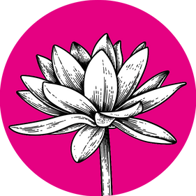 Seerose Icon