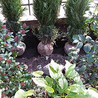 Garten- und Landschaftsbau 12